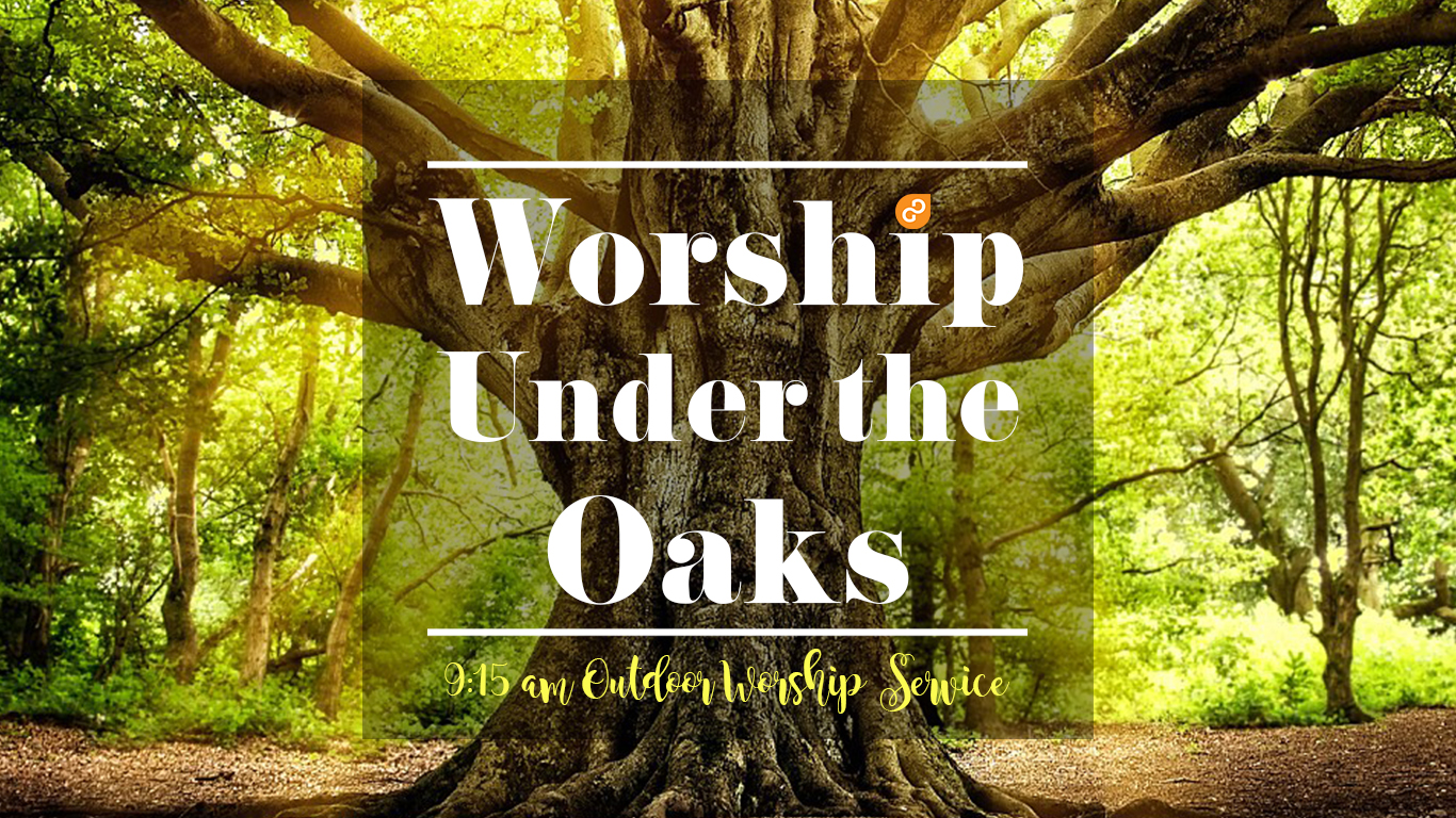 outdoor worship service, worship under the oaks, gulf gate church, churches near me, sarasota Florida, near siesta key beach